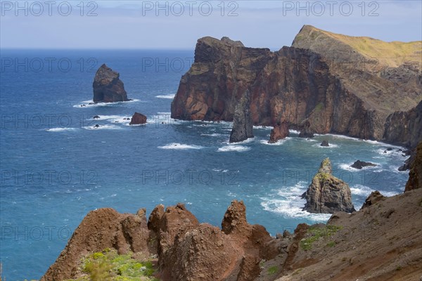 Rocky coast