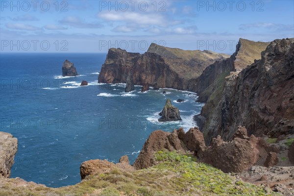 Rocky coast