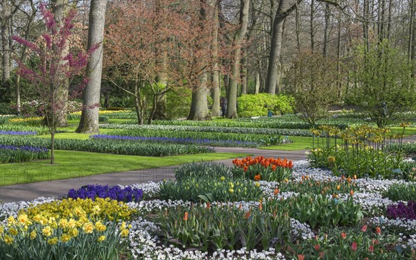 Annual flower show