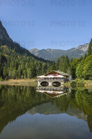 Pflegersee