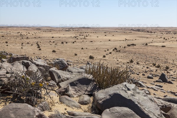 Landscape in the Namib Naukluft Park
