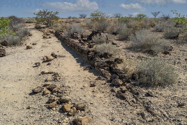 Petrified log