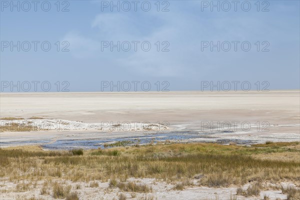 At the edge of the Etosha salt pan