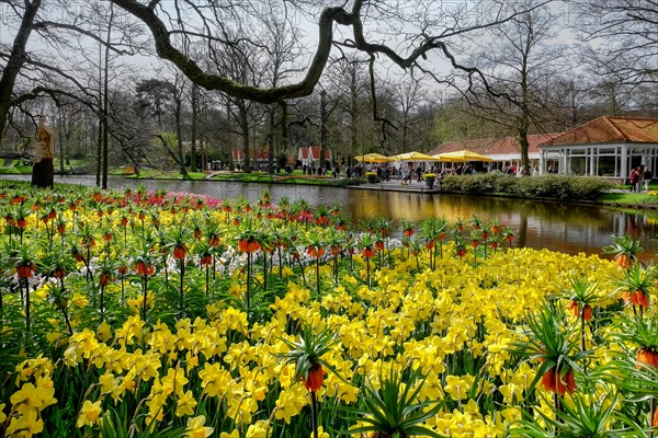 Annual flower show