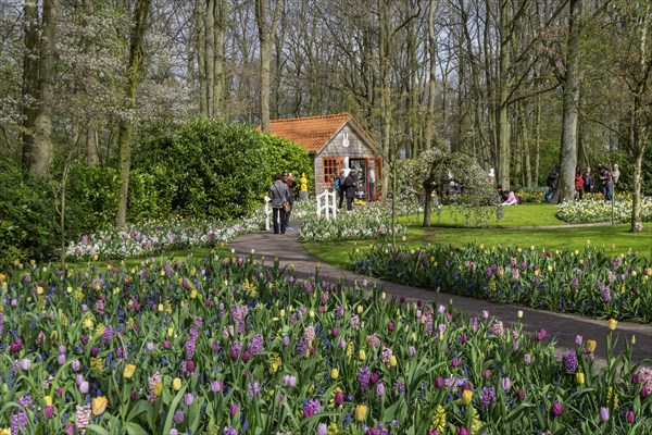 Annual flower show