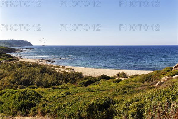 Coastline with beach near Santa Teresa di Gallura