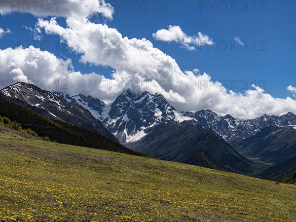 Mountain ranges with snow and meadows with yellow flowers in the highlands of eastern Tibet