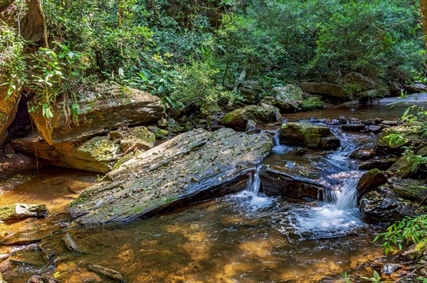 Small river running through the forest with water flowing between rocks and vegetation in the state of Minas Gerais