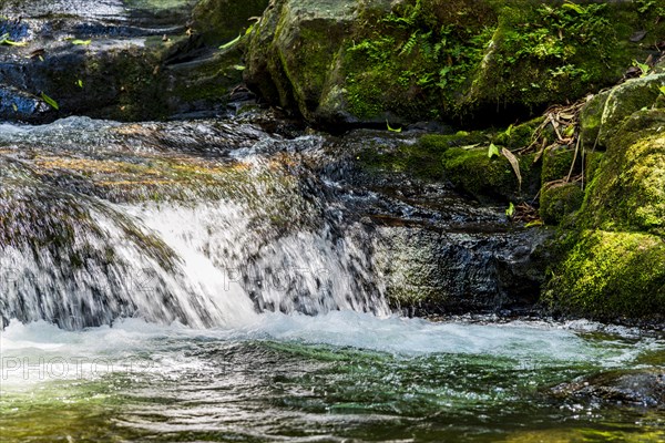 Small cascade inside the vegetation of preserved rainforest of Itatiaia park in Rio de Janeiro