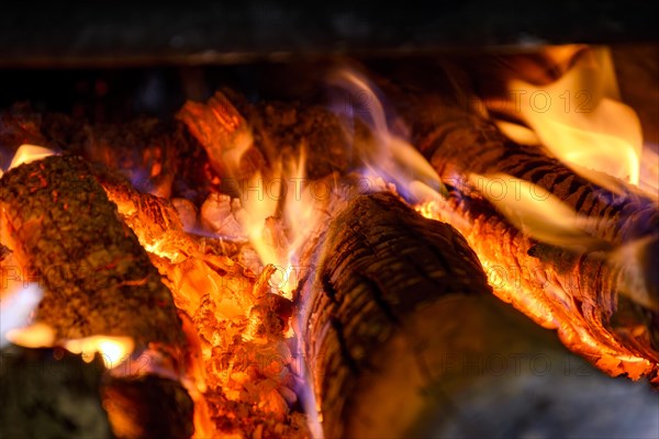 Embers and wood burning in a campfire