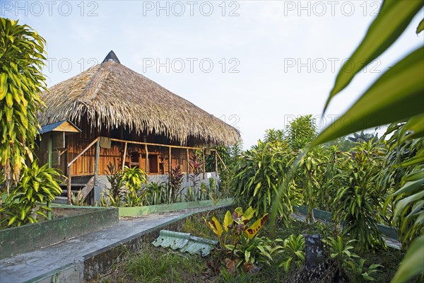 Traditional Bungalow in the Amazon Rainforest