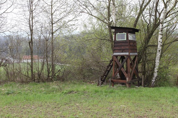 Hunter's stand at a field hedge