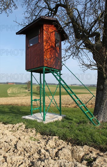 Hunter's stand at pear tree in the field