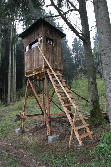 Hunter's stand at the edge of the forest