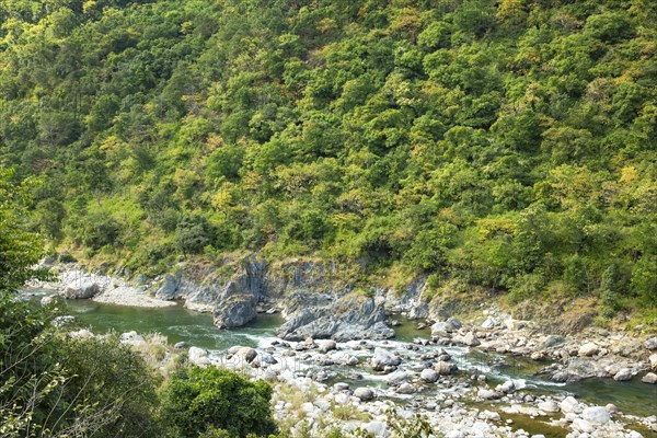 River at Frogpoint