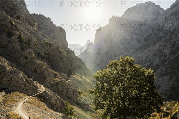 Hiking trail through the Cares Gorge