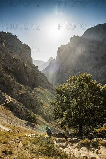 Hiking trail through the Cares Gorge