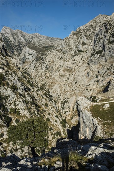 Hiking trail through the Cares Gorge