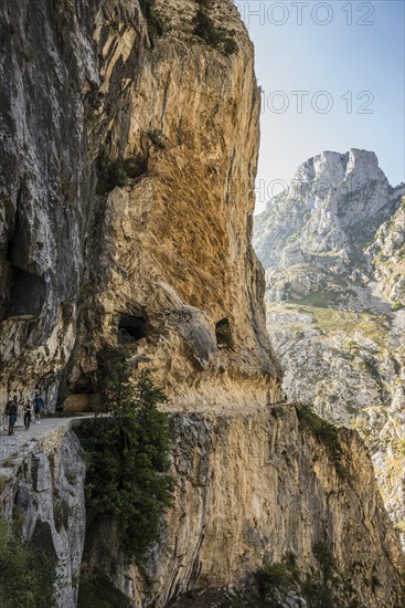 Hiking trail through the Cares Gorge