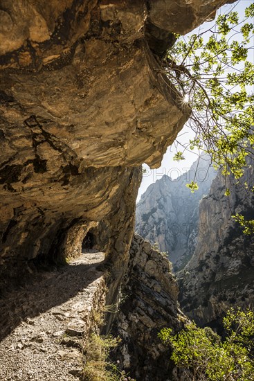 Hiking trail through the Cares Gorge