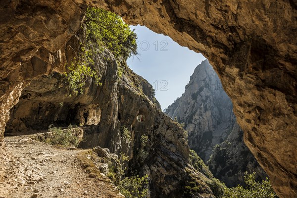 Hiking trail through the Cares Gorge