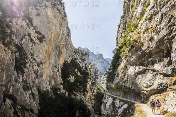 Hiking trail through the Cares Gorge