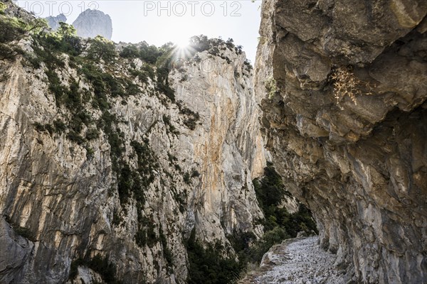 Hiking trail through the Cares Gorge