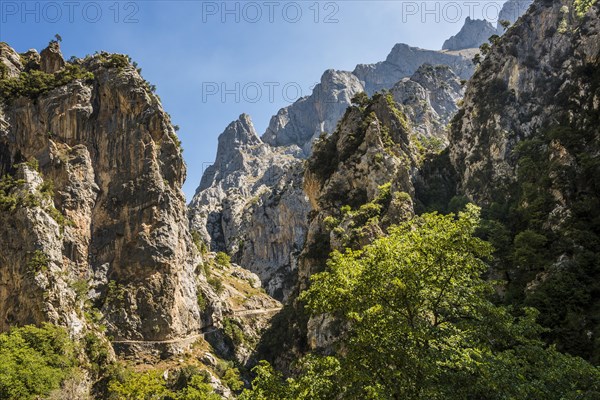 Hiking trail through the Cares Gorge