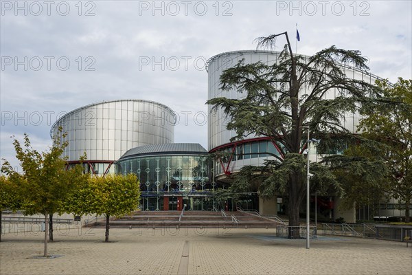 European Court of Human Rights