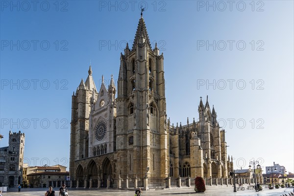 Gothic Cathedral