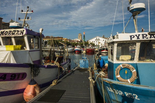 Fishing boats in the harbour