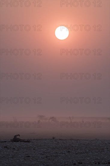 Sunset over the Etosha Pan