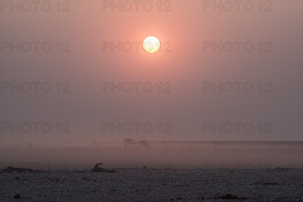 Sunset over the Etosha Pan