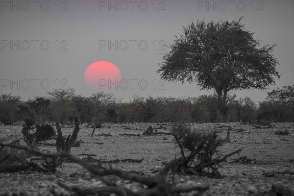 Sunset over the Etosha Pan