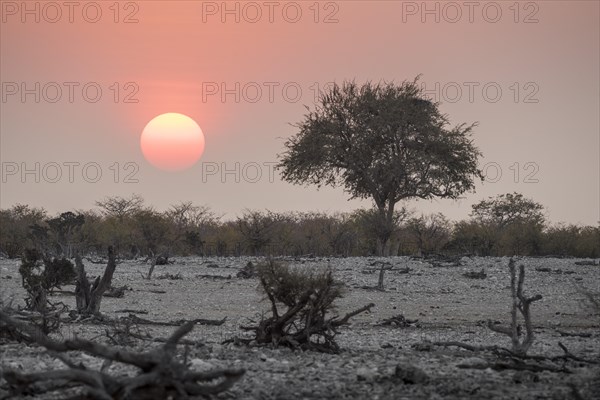 Sunset over the Etosha Pan