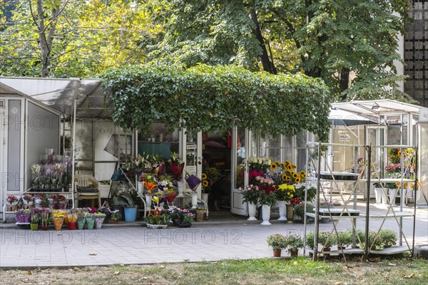 Flower shop