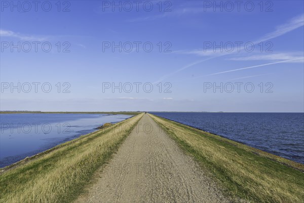 Cycle path at the Rantum Basin on Sylt