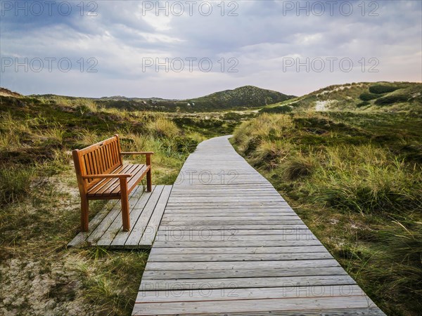 Bench in the dunes of the heath landscape