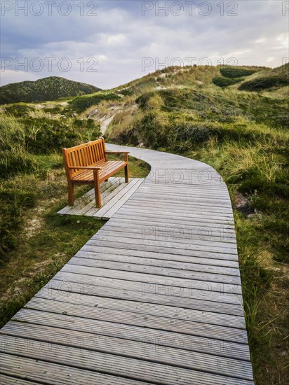 Bench in the dunes of the heath landscape