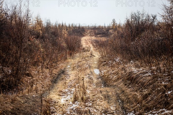 Sunken Road