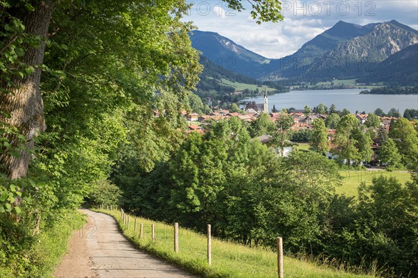 View of Schliersee from the Schlierseer Höhenweg in summer