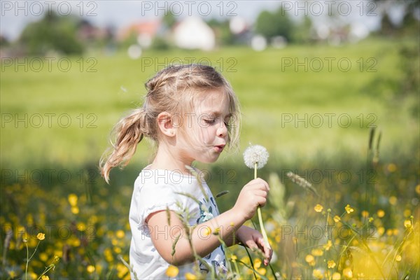 Child with dandelion in a meadow