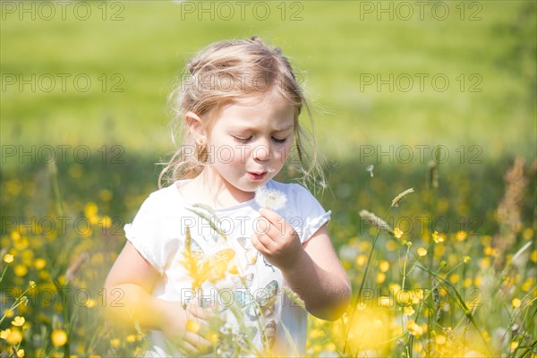 Child with dandelion in a meadow