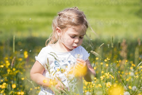 Child with dandelion in a meadow