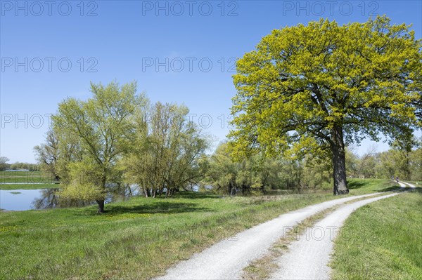 Road on the dyke