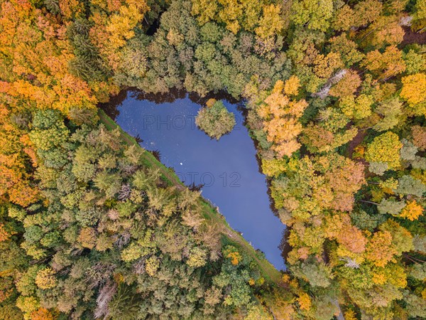 The foliage of the trees around the Brunnenweiher pond near Usingen in Taunus is beginning to turn autumnal yellow and orange.