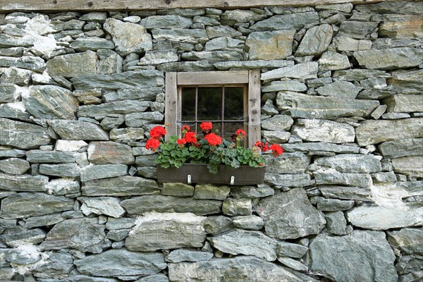 Stone alpine hut with wooden window with flowers in Pinzgau