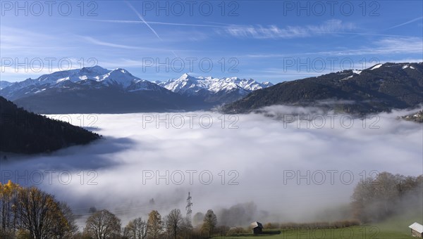 Misty atmosphere