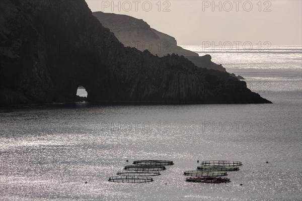 Coastal landscape