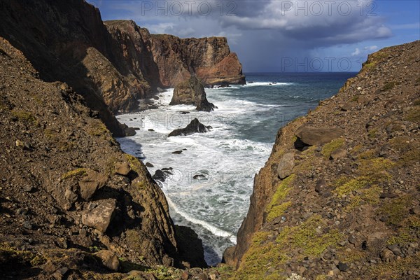 Coastal landscape